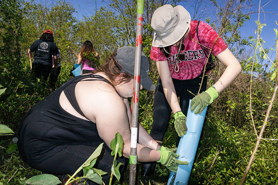 Site leader Gianna Midure helps Eva Tillett plant a cypress tree